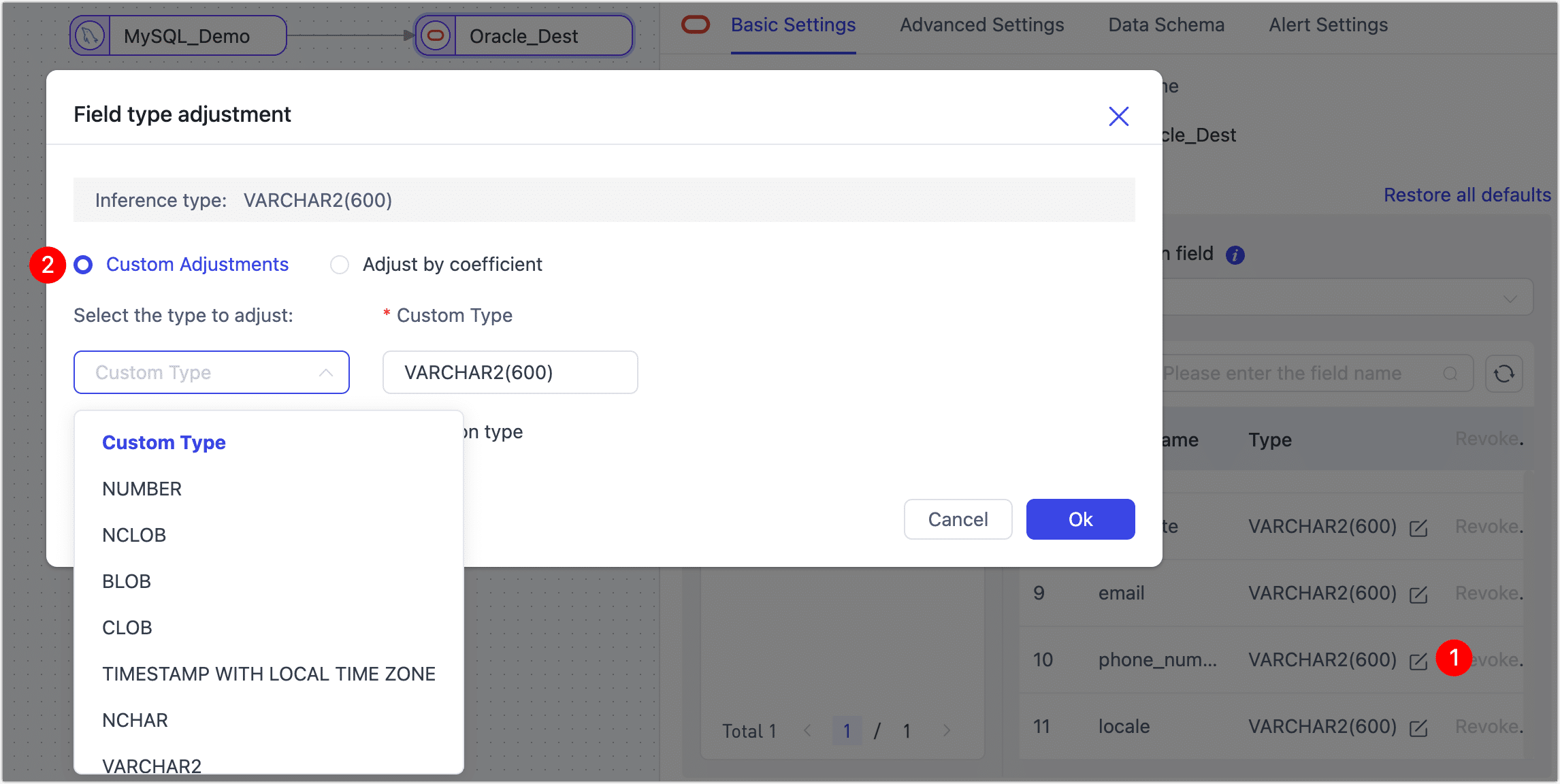 Adjust Field Type and Length