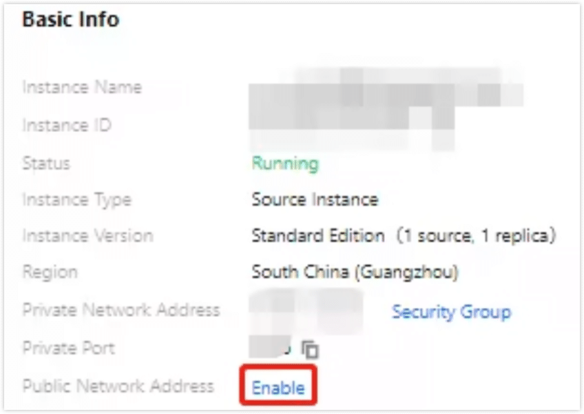 Get public connection address