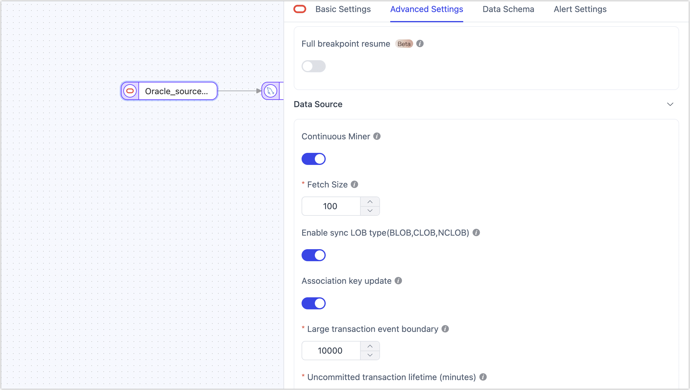 Example of Advanced Settings for Oracle Node